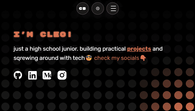 Personal Website (old) screenshot 1
